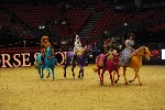 Quadrille - 00492